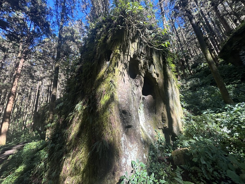 頂湖大凍山國家森林步道健行