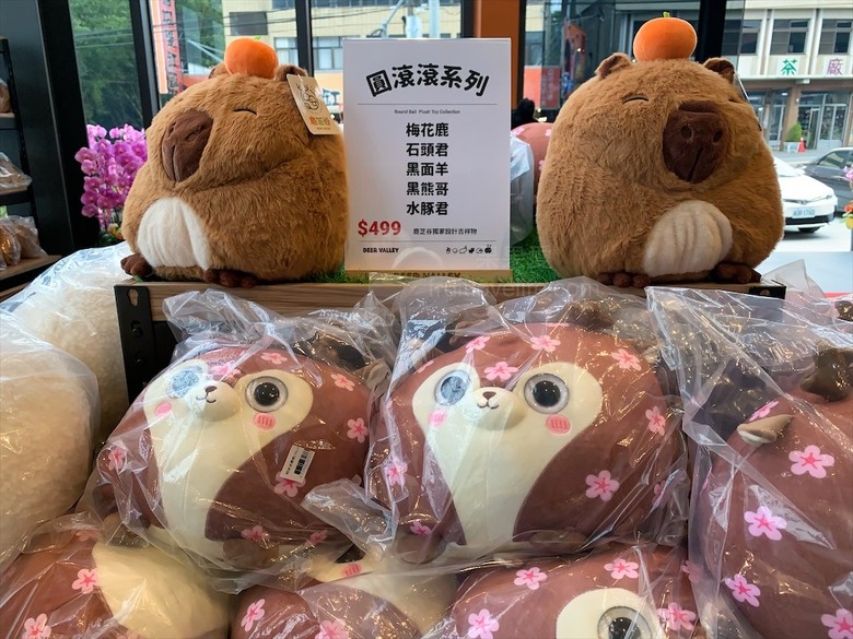 山巒景色讓人感到美不勝收，園區有超人氣的水豚君、笑笑羊，也有許多可愛小動物