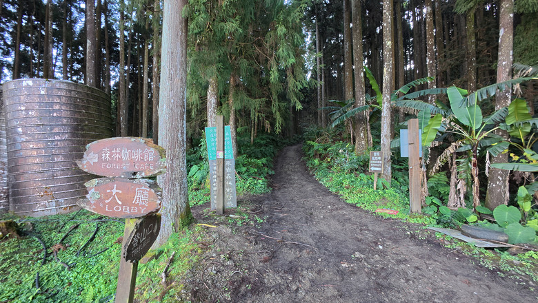 【鵝公髻山】林相絕美的新竹縣小百岳 | 山上人家農場第三登山口起登