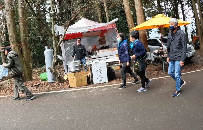 草坪頭賞櫻花賞李花,2月5日花況分享