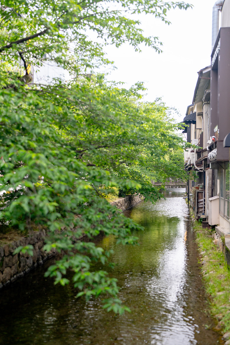 【關西】獨旅，京都古城篇(二)