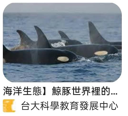 《海外所得》基金,正2跟反一,3倍多空fang