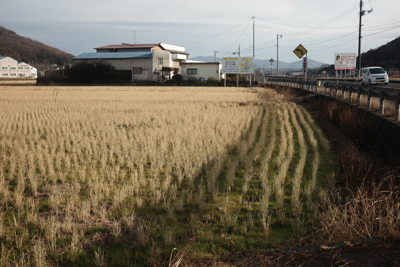 廣島岡山一些街拍_GR3X