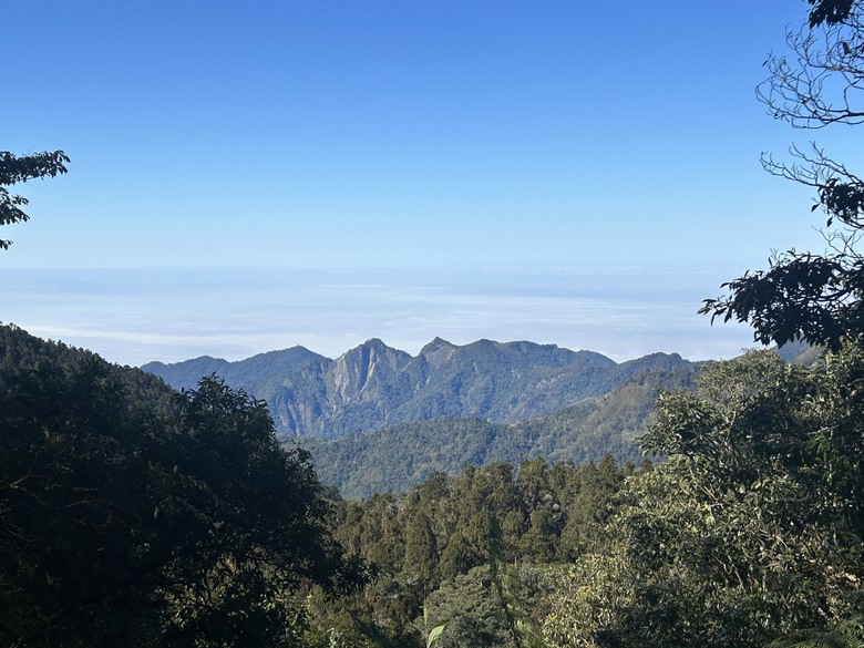 頂湖大凍山國家森林步道健行