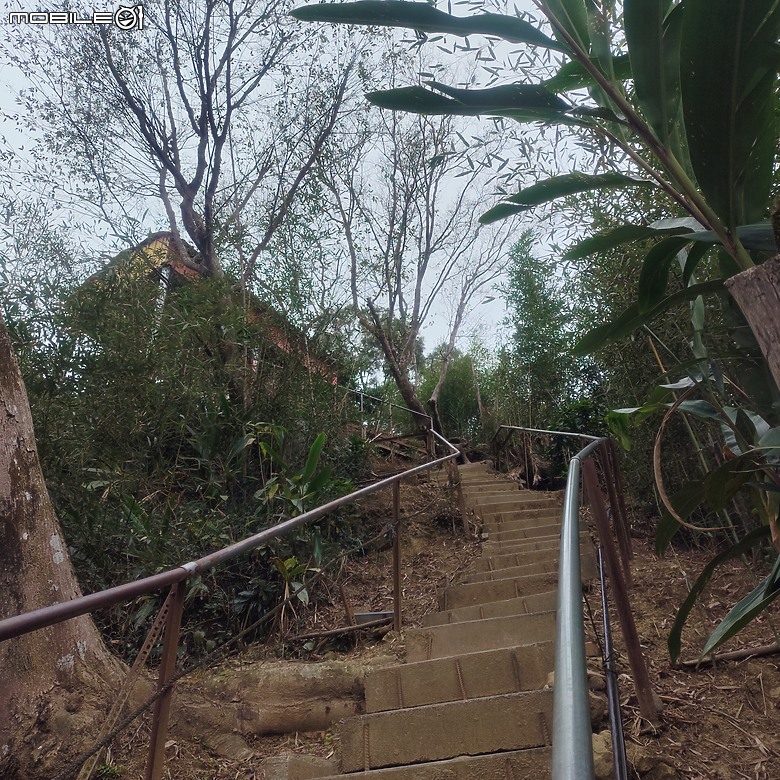 三崁頂健康步道，當地人的秘密後花園，練腿力的好地方