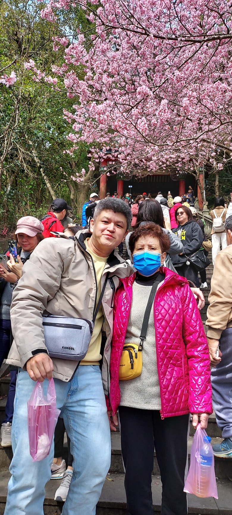 碧山巖花花之旅