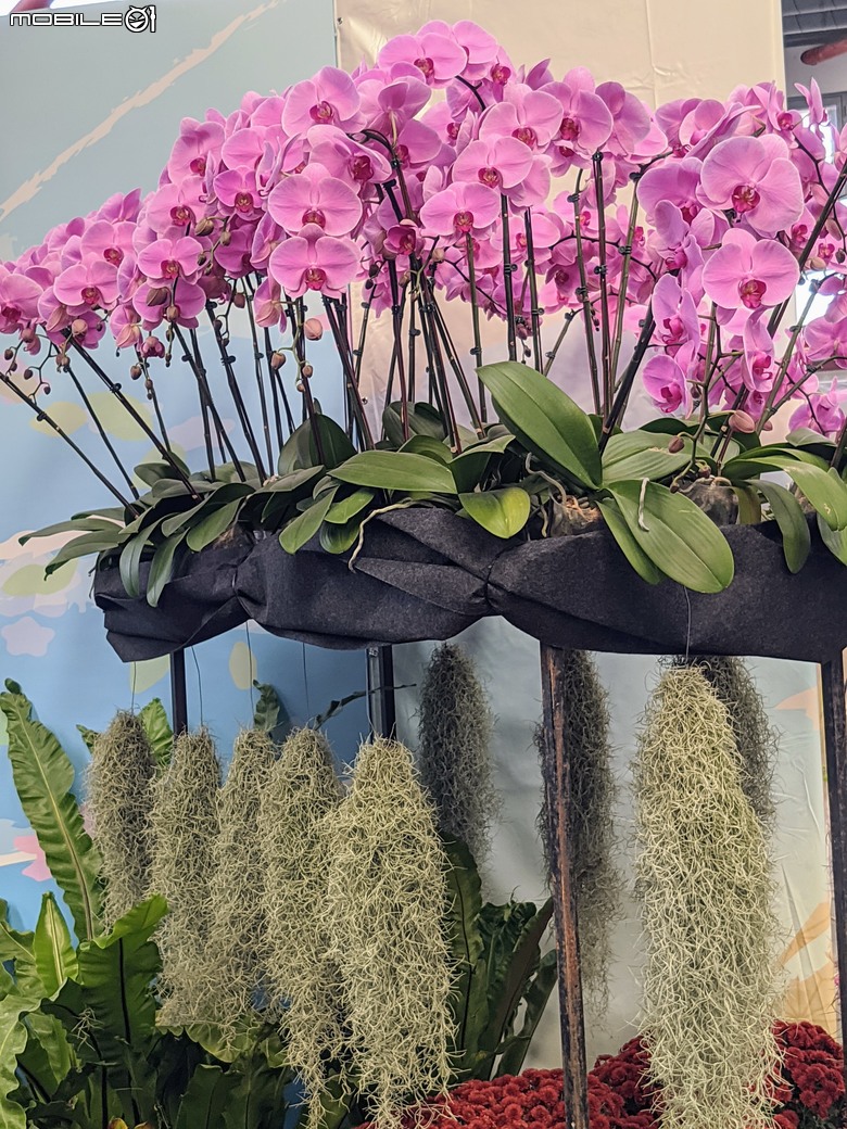花在彰化 彰化縣溪州鄉中央路三段138號 02/01