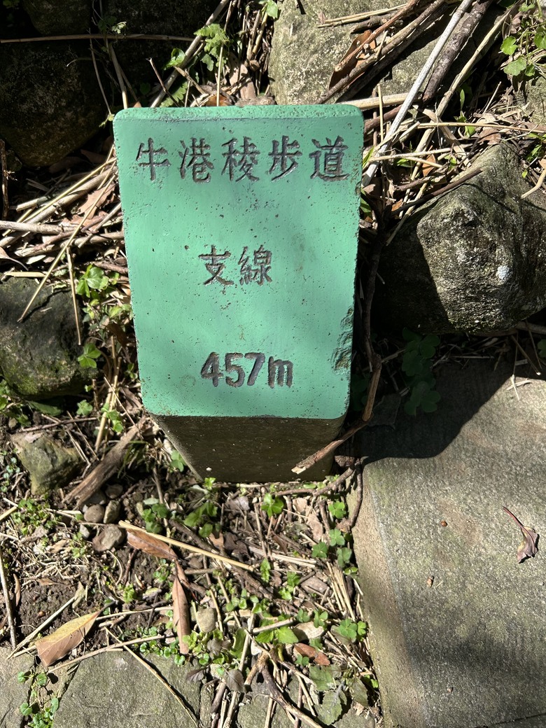 2/15 SCC：晨間團騎，解鎖崩山巷華富山路，Calamita due city tour