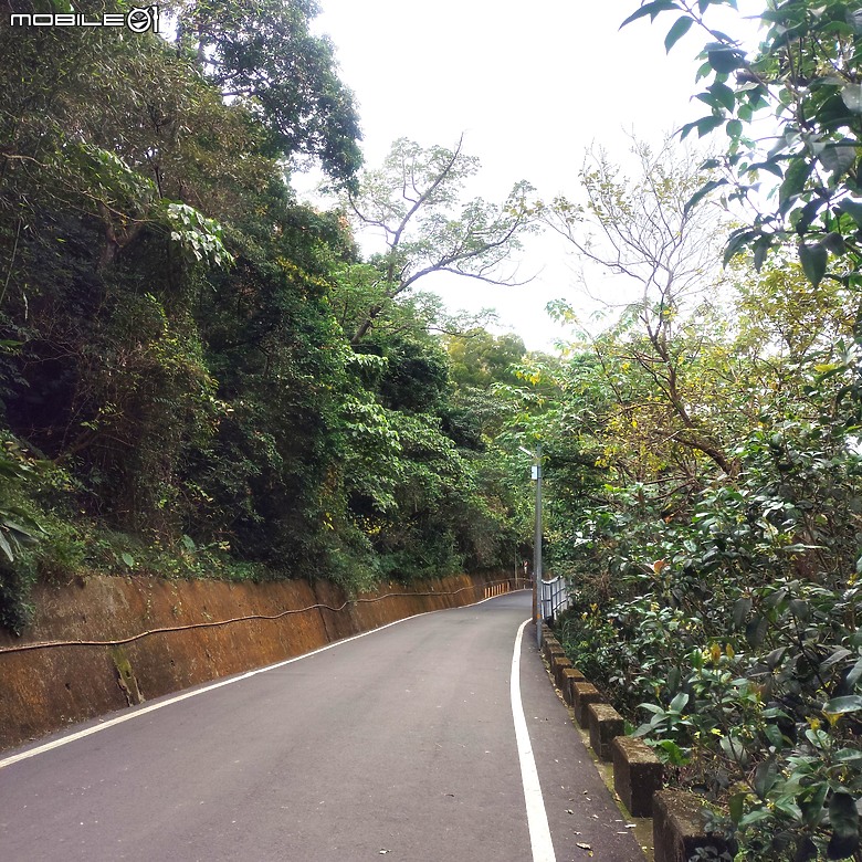 三崁頂健康步道，當地人的秘密後花園，練腿力的好地方