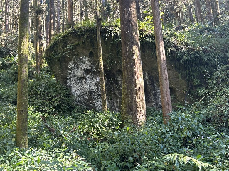 頂湖大凍山國家森林步道健行