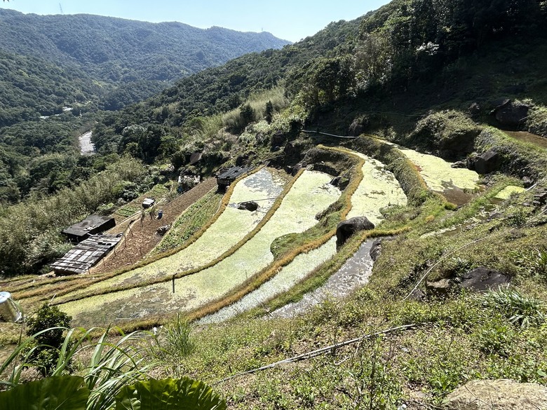 2024/2/14 狗殷勤古道、鵝尾山、紅色浮萍輕旅行