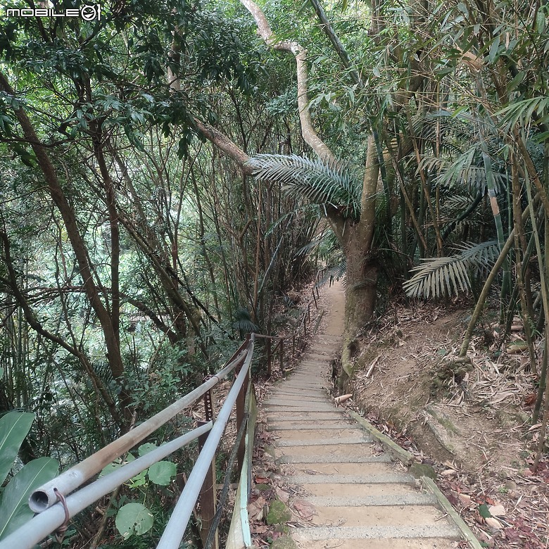 三崁頂健康步道，當地人的秘密後花園，練腿力的好地方