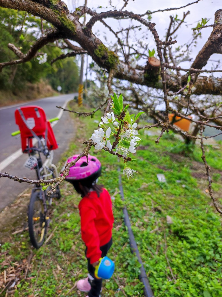 2025年,嘉義,小小孩的騎旅,梅山36灣挑戰賽^_^