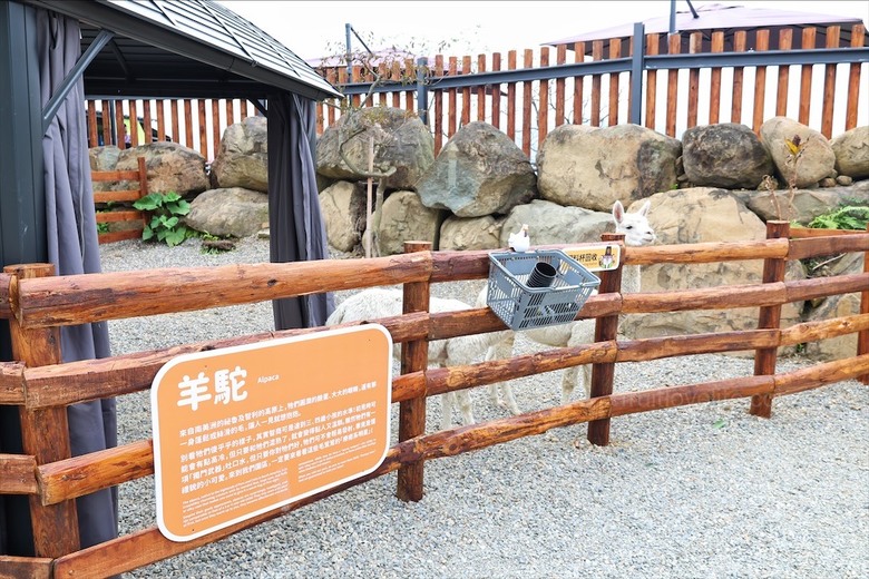 山巒景色讓人感到美不勝收，園區有超人氣的水豚君、笑笑羊，也有許多可愛小動物