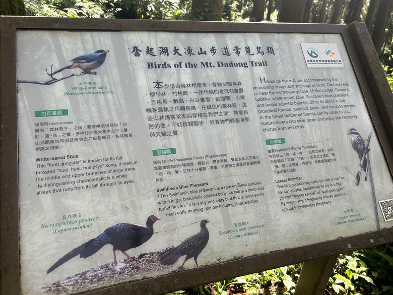 頂湖大凍山國家森林步道健行