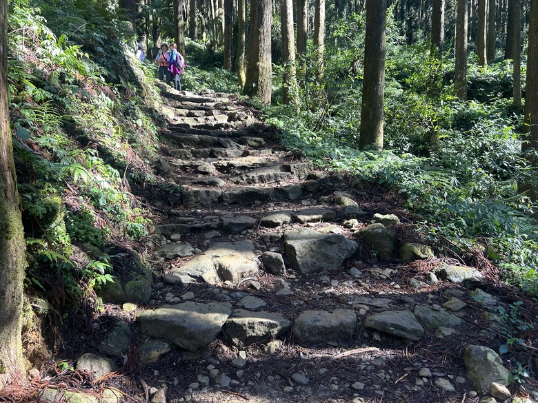 頂湖大凍山國家森林步道健行