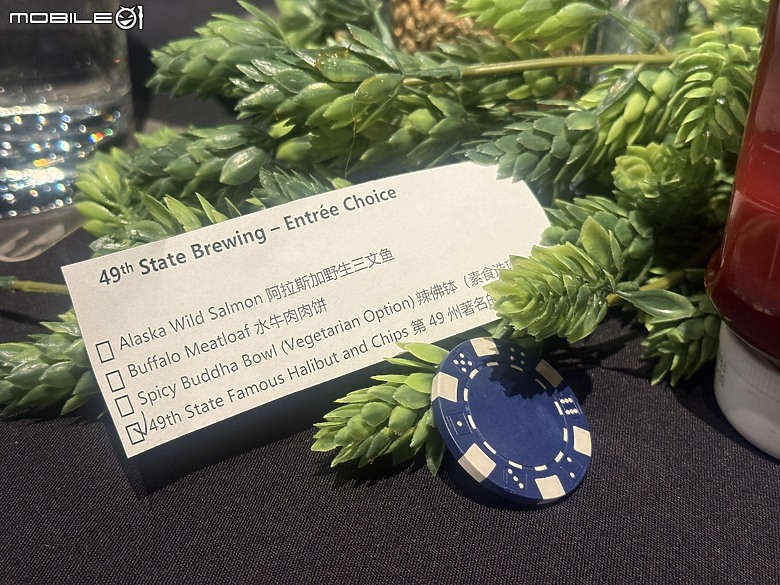 【簡易遊記】2024 Chasing Aurora 追極光
