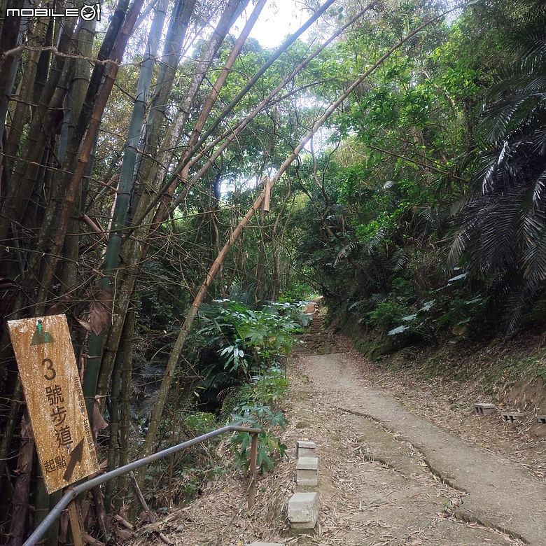 三崁頂健康步道，當地人的秘密後花園，練腿力的好地方