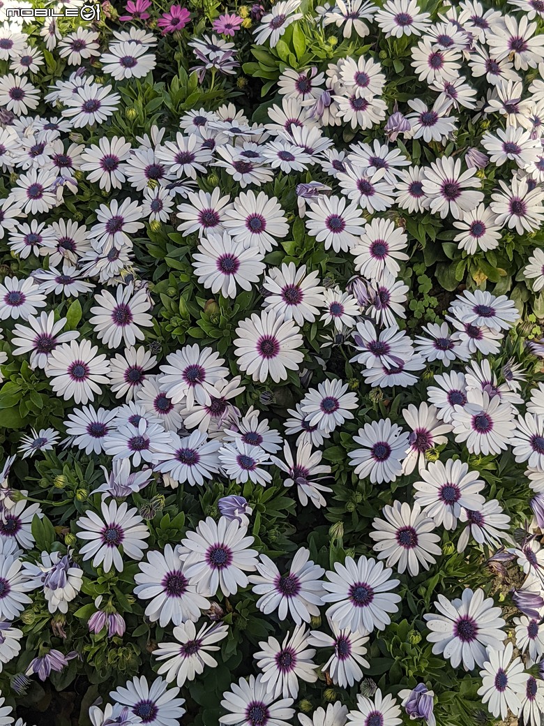 花在彰化 彰化縣溪州鄉中央路三段138號 02/01