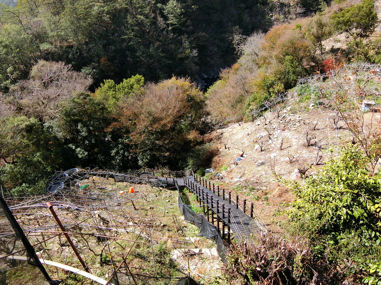 台7甲線思源埡口看殘雪,環山周邊吊橋收集