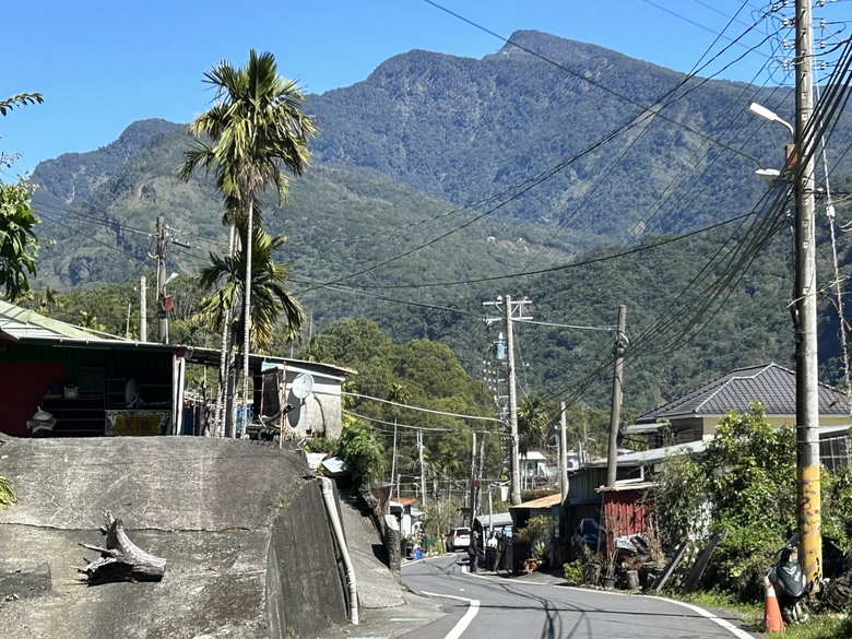 登德文觀望山尋找「吊人樹」之旅