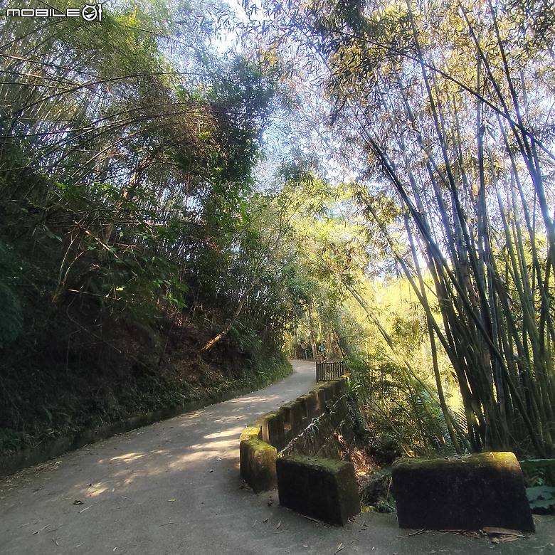 東勢區小中嵙健行步道，結合周遭景點才好玩的步道! 😂