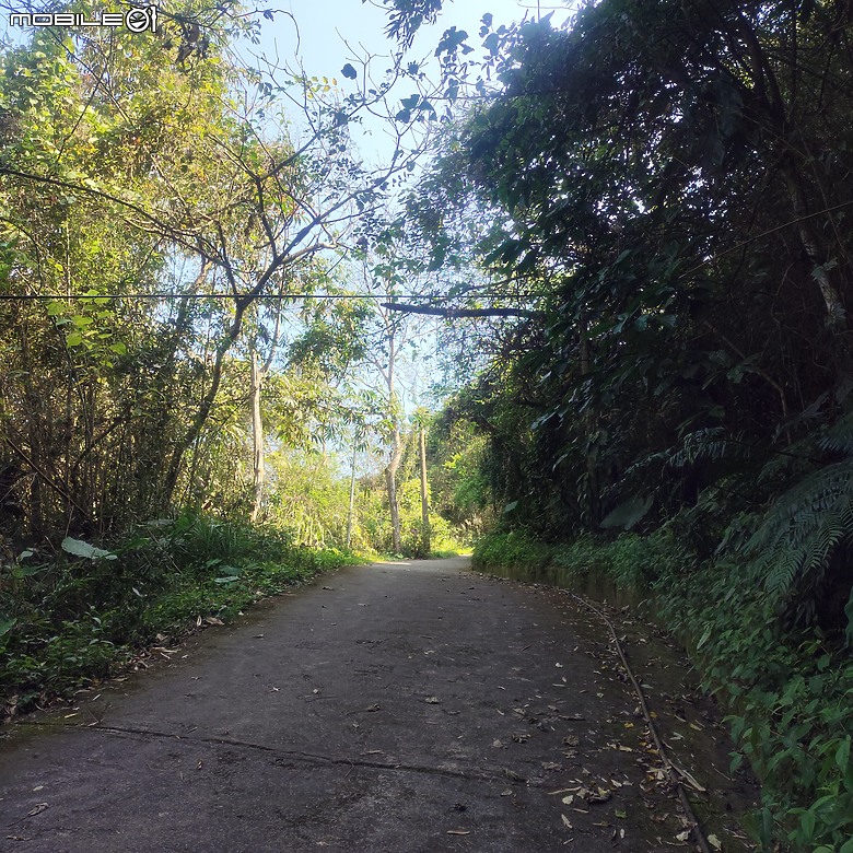 東勢區小中嵙健行步道，結合周遭景點才好玩的步道! 😂