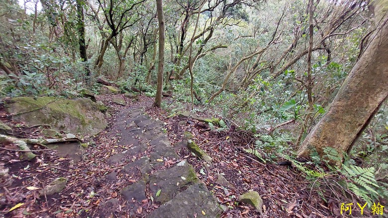 【郊山走走】 紗帽山、橫嶺古道 輕鬆健行