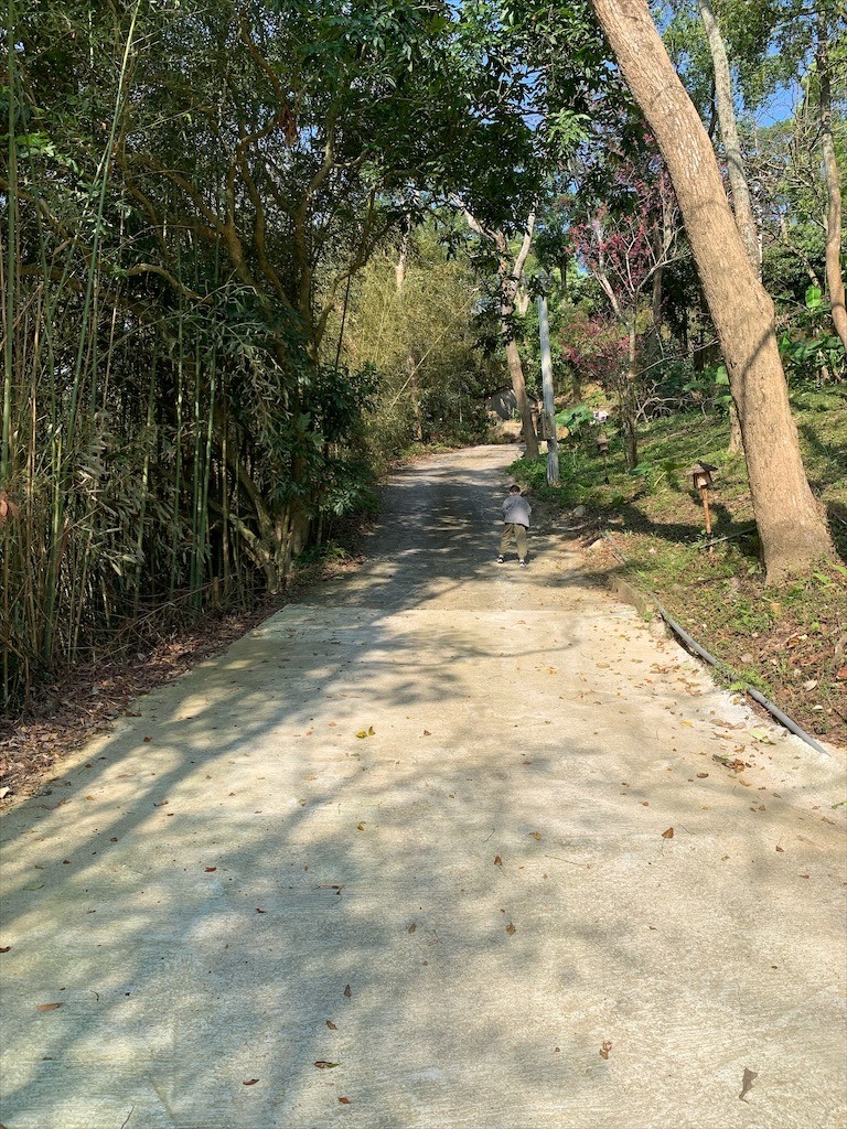 蟲鳴鳥語、竹林群山環繞、星光點點,讓人和毛孩都感到放鬆的渡假莊園