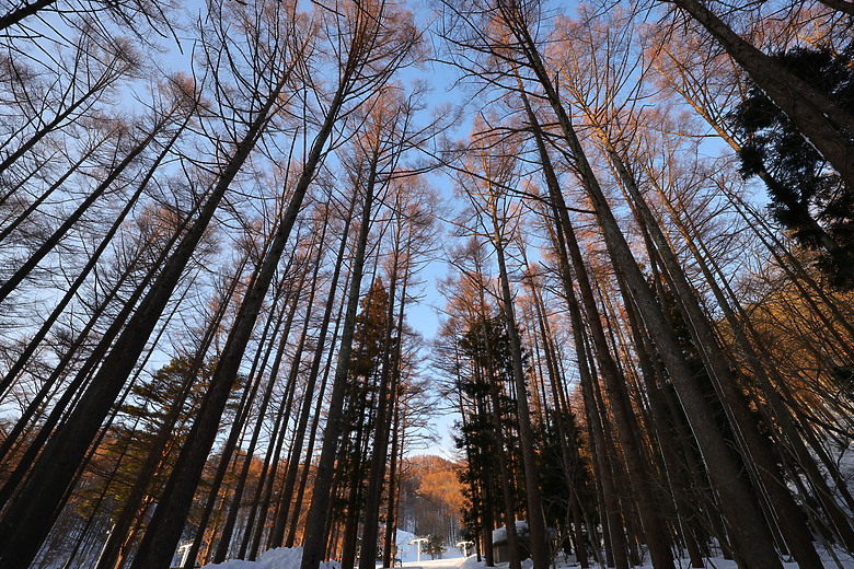 Canon RF 16-28mm f/2.8 IS STM 評測報告｜平民超廣角鏡皇、輕巧可靠且超值！