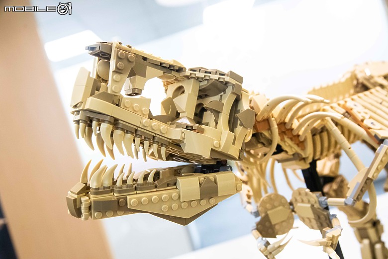 【樂高開箱】LEGO 76968 侏羅紀公園之暴龍化石登場，長度達一公尺的擬真震撼！
