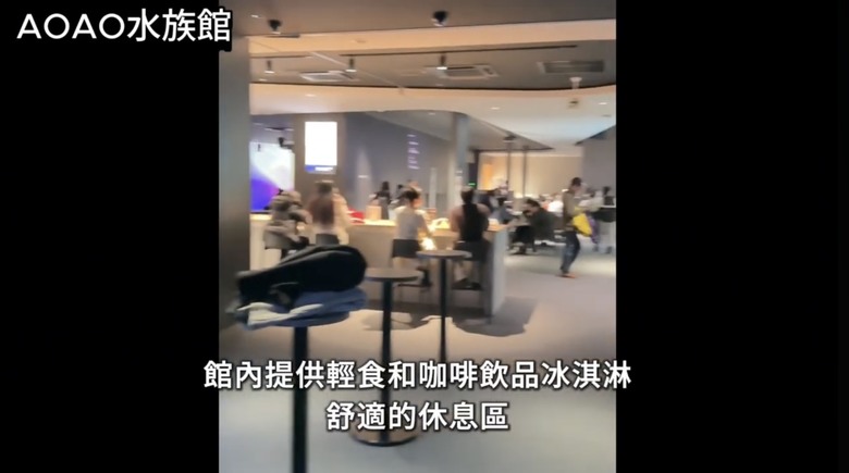 北海道札幌美食大爆發🔥 帝王蟹、湯咖哩、和牛海膽燒肉吃到爽!二條市場 x AOAO水族館 x 三角市場