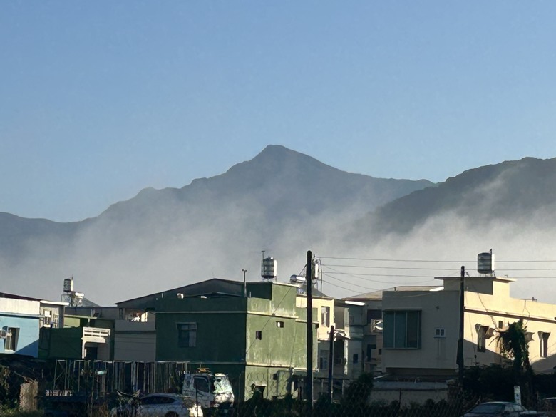 登德文觀望山尋找「吊人樹」之旅