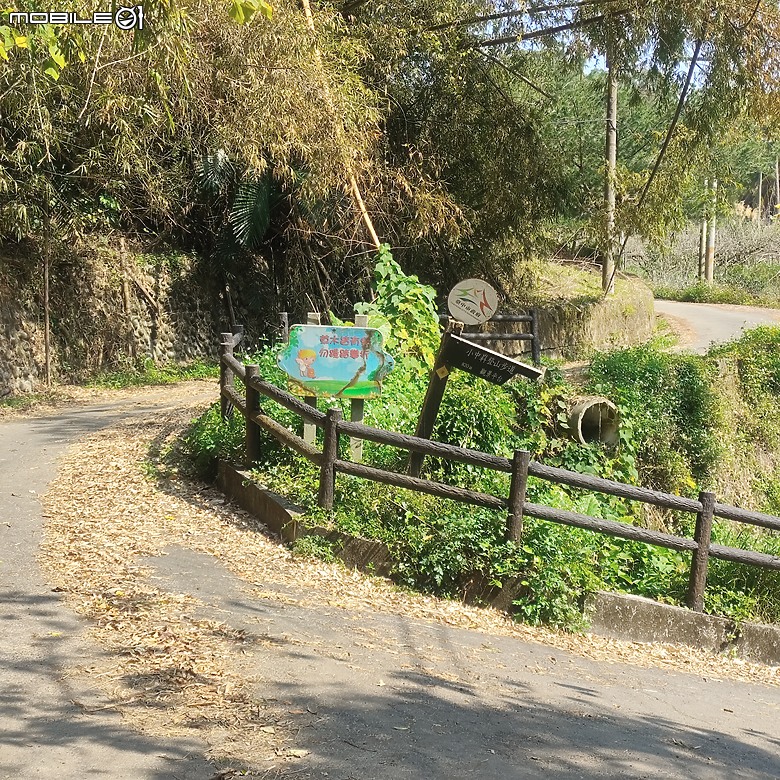 東勢區小中嵙健行步道，結合周遭景點才好玩的步道! 😂
