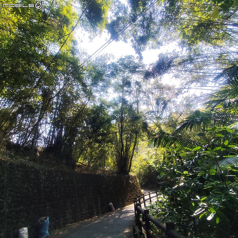 東勢區小中嵙健行步道，結合周遭景點才好玩的步道! 😂