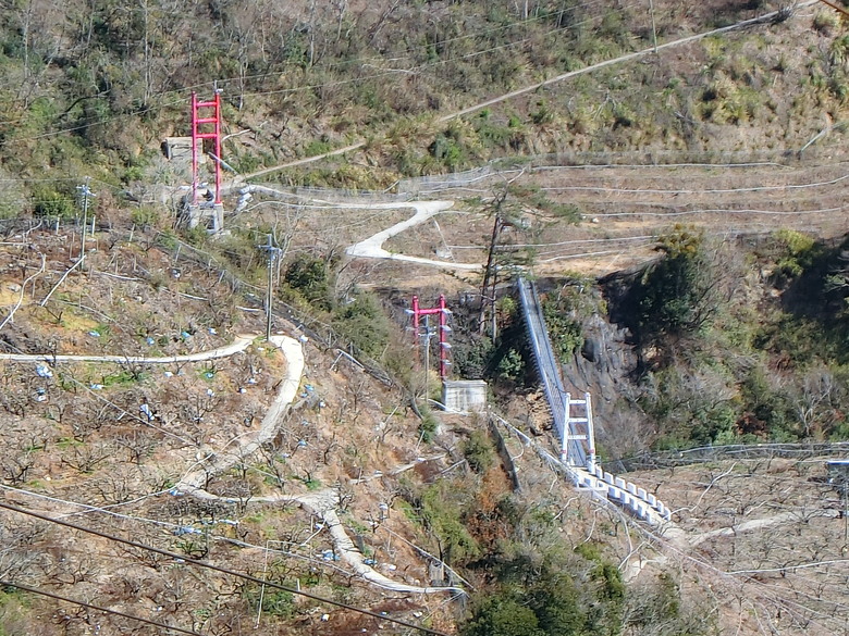 台7甲線思源埡口看殘雪,環山周邊吊橋收集