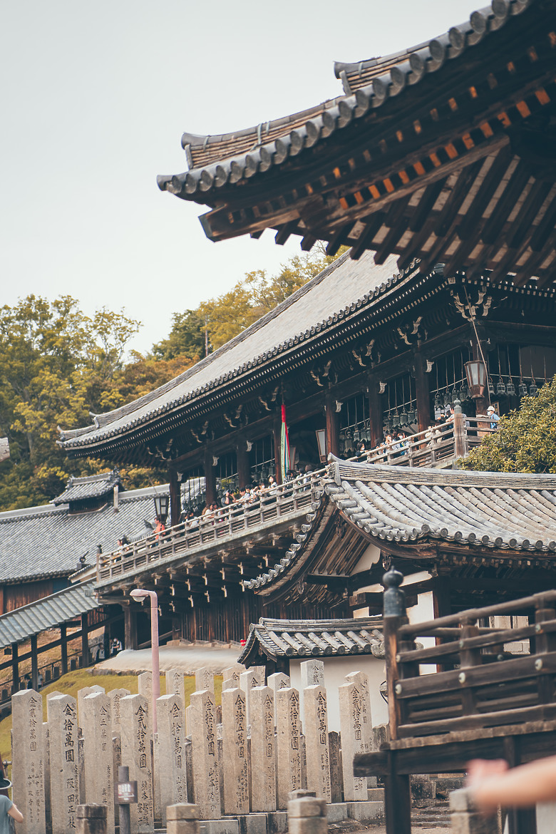 【關西】獨旅，奈良篇