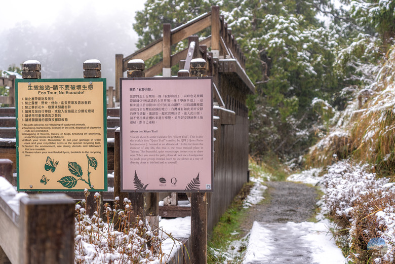 2025太平山稀有三月雪深度旅遊 住宿1040元包早晚餐？日出秘境！