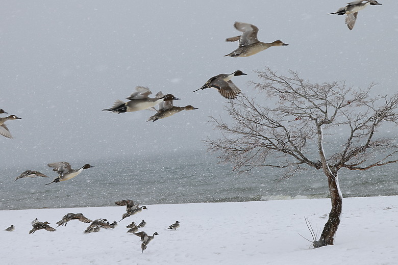 點我看大圖 Sigma 16-300mm f/3.5-6.7 DC OS Contemporary 評測報告|當今 APS-C 旅遊鏡首選!