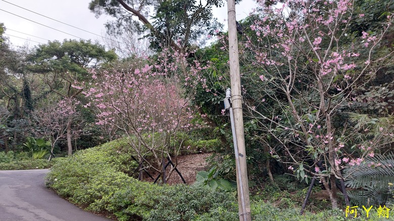 【郊山走走】 紗帽山、橫嶺古道 輕鬆健行