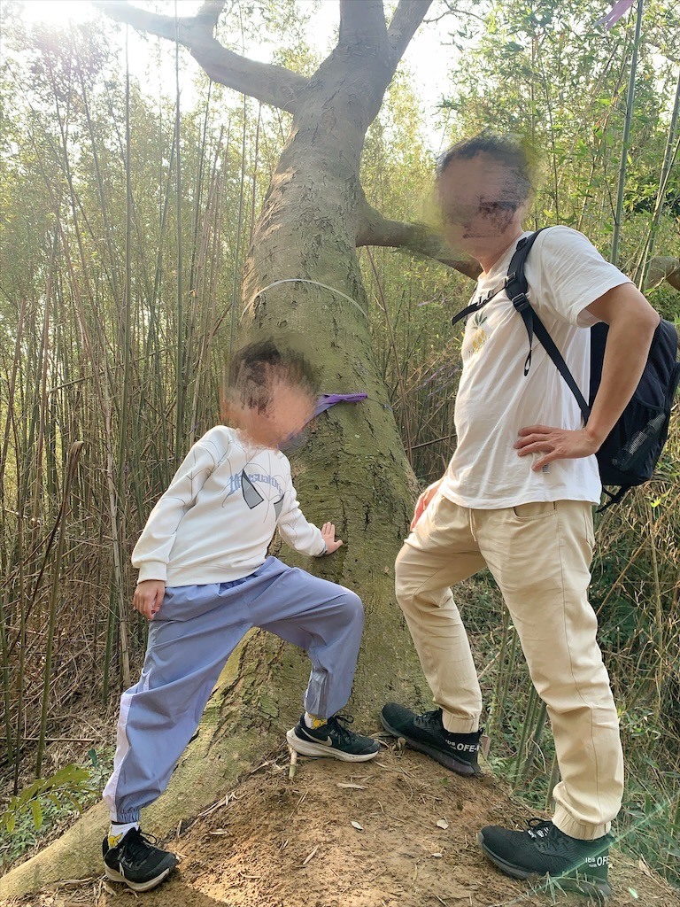 蟲鳴鳥語、竹林群山環繞、星光點點,讓人和毛孩都感到放鬆的渡假莊園