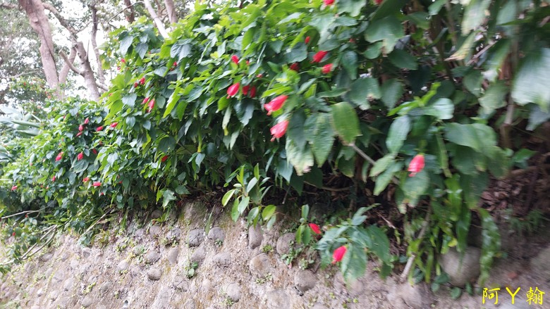 【郊山走走】 紗帽山、橫嶺古道 輕鬆健行