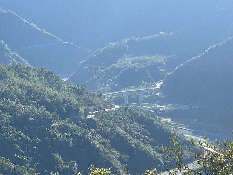 登德文觀望山尋找「吊人樹」之旅