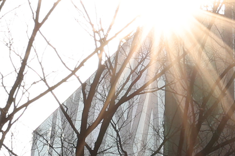 Canon RF 16-28mm f/2.8 IS STM 評測報告｜平民超廣角鏡皇、輕巧可靠且超值！