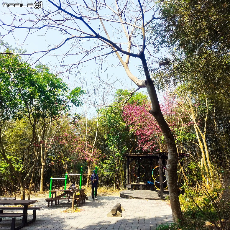 東勢區小中嵙健行步道，結合周遭景點才好玩的步道! 😂