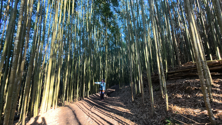 點我看大圖 【霞喀羅古道】一日往返日治時期的白石駐在所