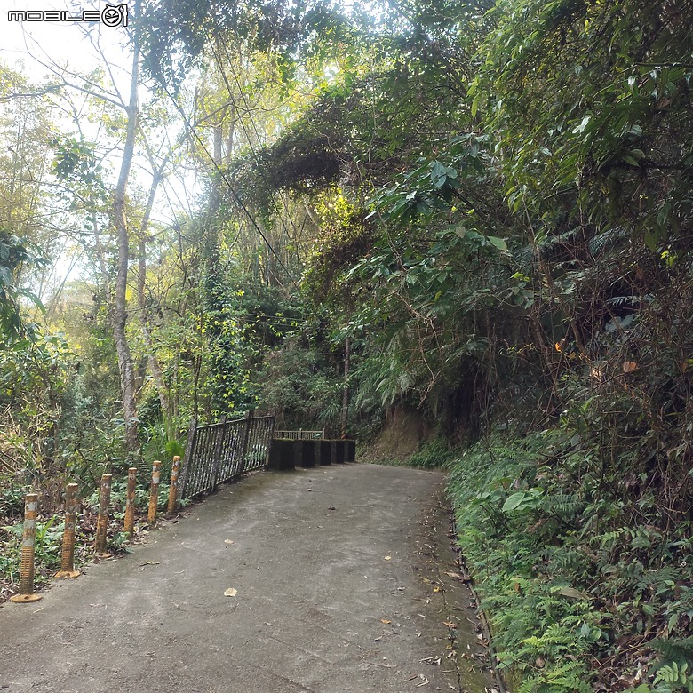 東勢區小中嵙健行步道，結合周遭景點才好玩的步道! 😂
