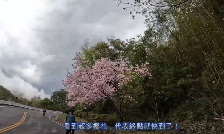 2025 櫻花勇士 - 挑戰極限 馳騁櫻花海