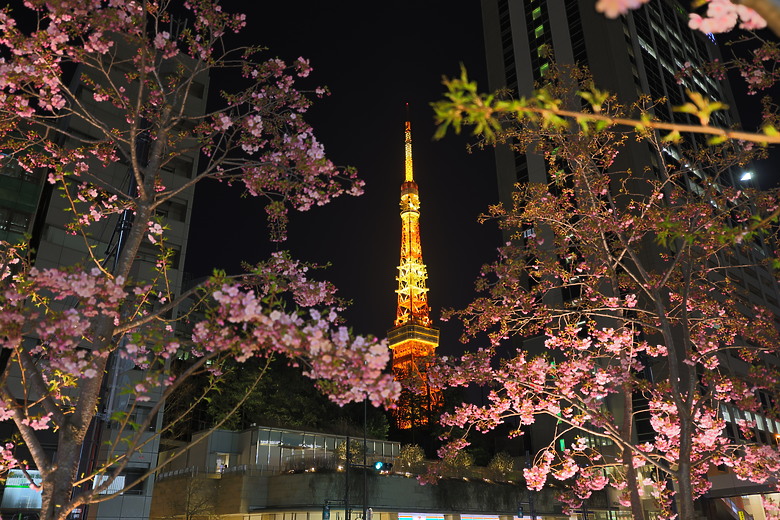 Canon RF 16-28mm f/2.8 IS STM 評測報告｜平民超廣角鏡皇、輕巧可靠且超值！