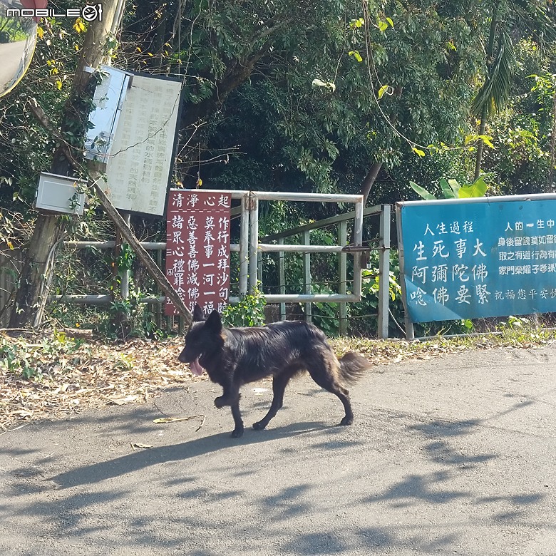 東勢區小中嵙健行步道，結合周遭景點才好玩的步道! 😂